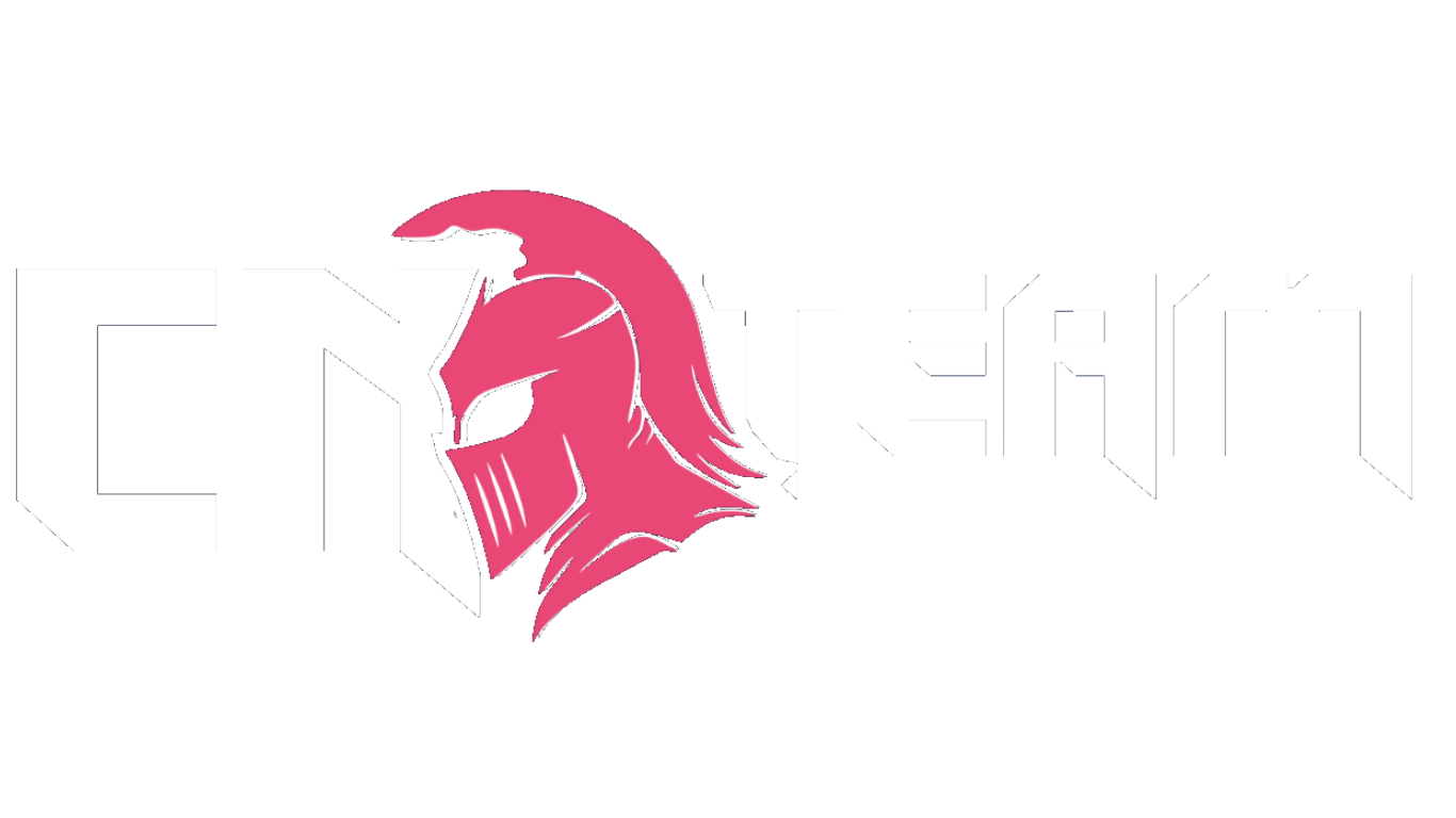 Logo Team Netto, Personal Trainer Online Feminino